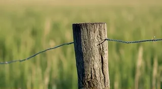 The Shepherd’s Mark: Fairy Rings and Boundary Definitions