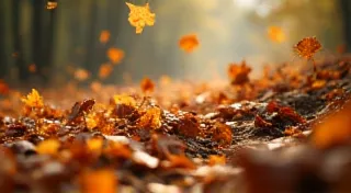 Symphony of the Decomposers: Fairy Rings and the Cycle of Life